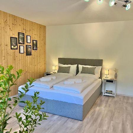 شقة An Wanderwegen Gelegen Mit Terrasse Und Boxspringbett ساسباشفالدن المظهر الخارجي الصورة