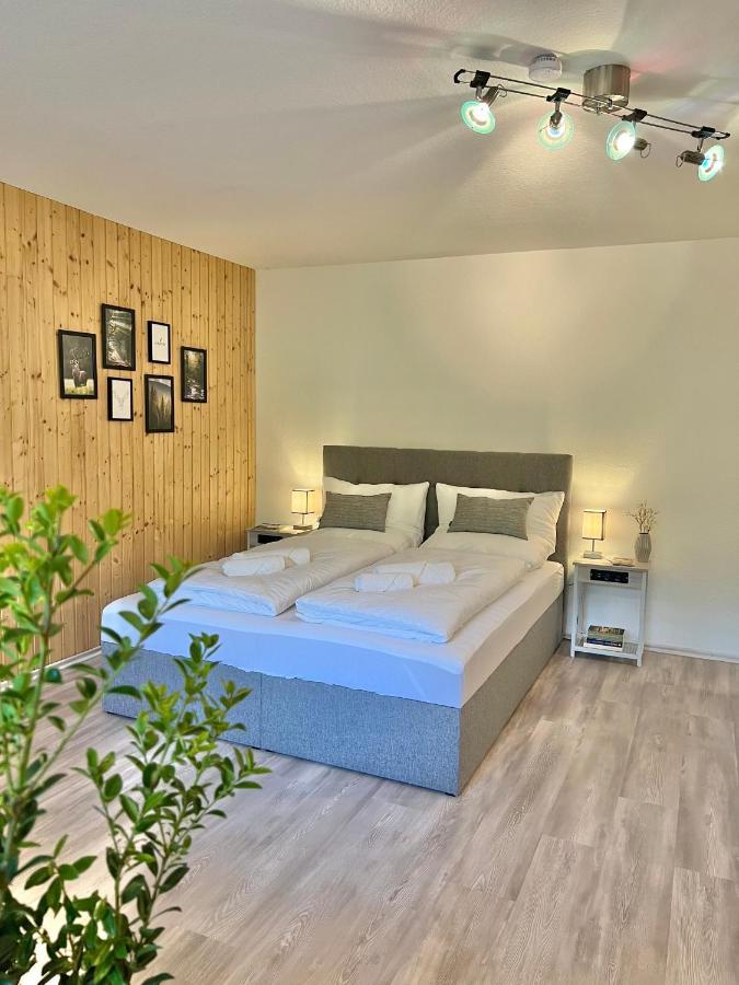 شقة An Wanderwegen Gelegen Mit Terrasse Und Boxspringbett ساسباشفالدن المظهر الخارجي الصورة